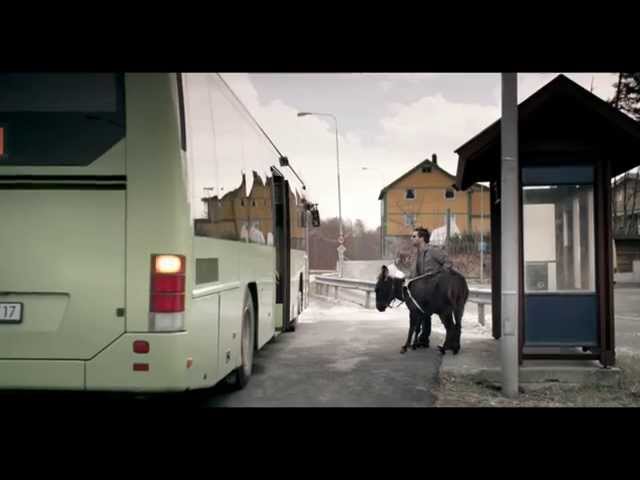 Hé taxisok, pincérek! Legyetek elnézőbbek a vakvezető kutyákkal