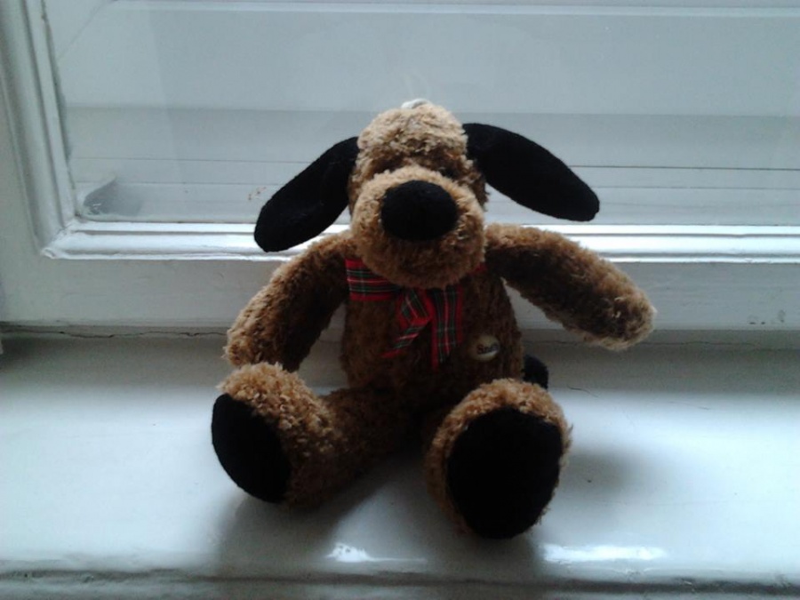 GIGABRÉKING!! Elveszett játékkutya, ismétlem, elveszett játékkutya!