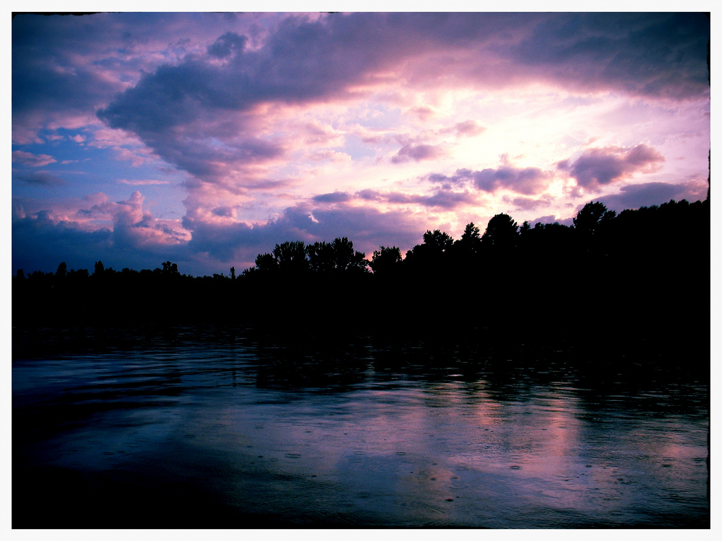 Illustration for article titled Döglött disznót fogott a Dunán a csömöri alpogármester