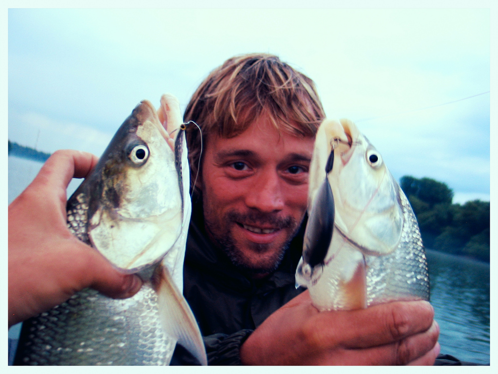 Illustration for article titled Döglött disznót fogott a Dunán a csömöri alpogármester