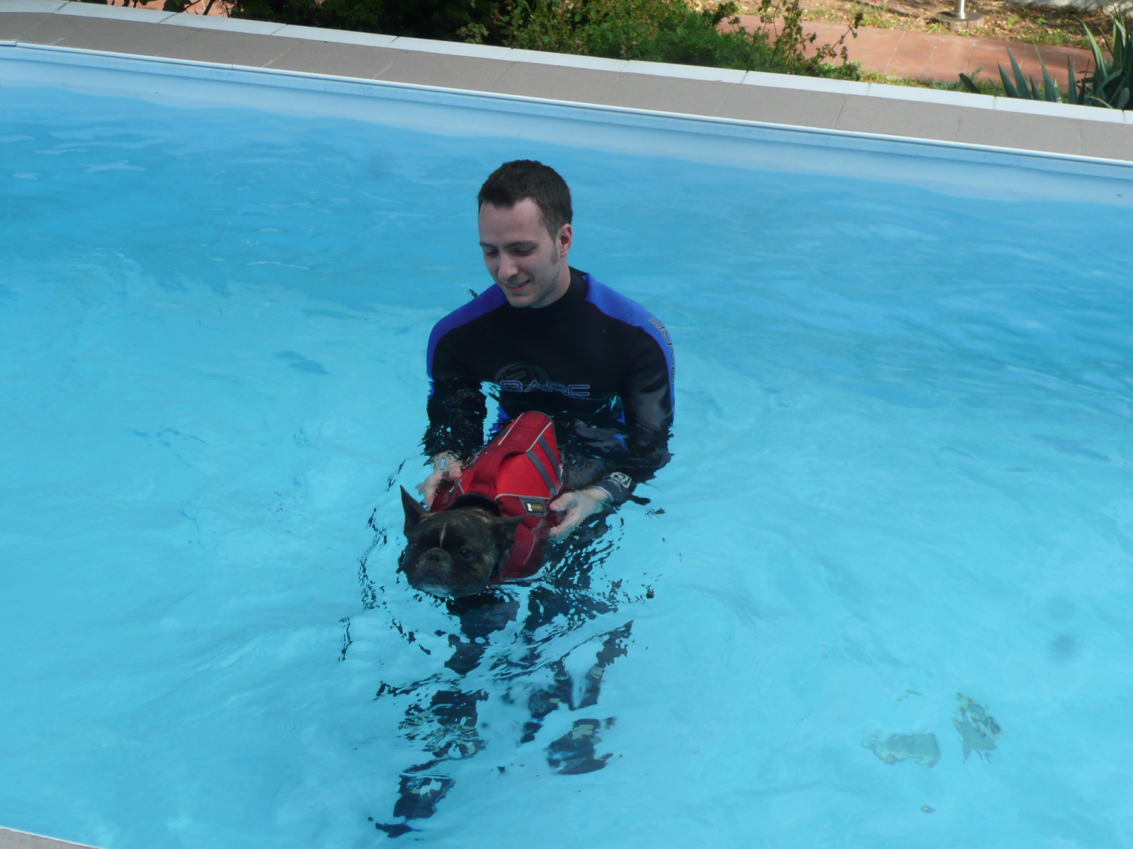 Ússz, te beteg állat!