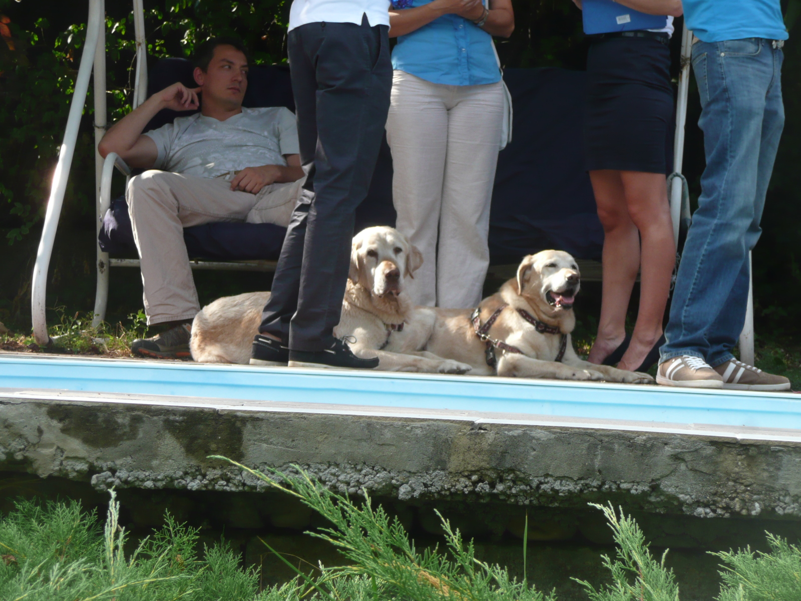 Illustration for article titled Ússz, te beteg állat!