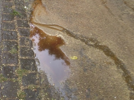 Rémület Budán: a földre estek a virágok a Fasorban, és barna lé keletkezett!