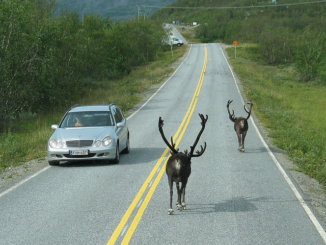 Illustration for article titled Cink exkluzív: Két magyar átgyalogolt Lappföldön, szörnyű szenvedések árán