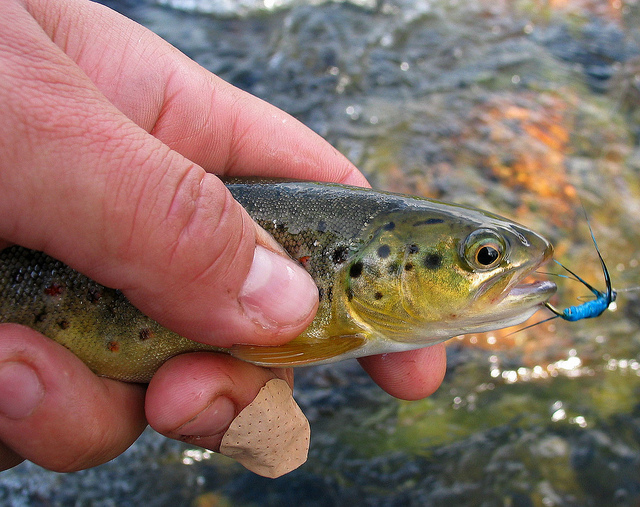 Illustration for article titled Cink exkluzív: Két magyar átgyalogolt Lappföldön, szörnyű szenvedések árán