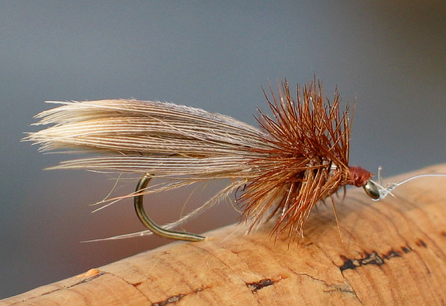 Illustration for article titled Cink exkluzív: Két magyar átgyalogolt Lappföldön, szörnyű szenvedések árán