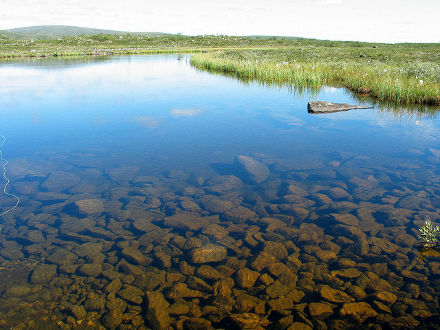 Illustration for article titled Cink exkluzív: Két magyar átgyalogolt Lappföldön, szörnyű szenvedések árán