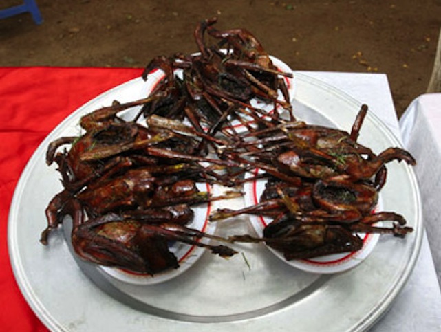 Megette egy egyiptomi család a magyar kémgólyát