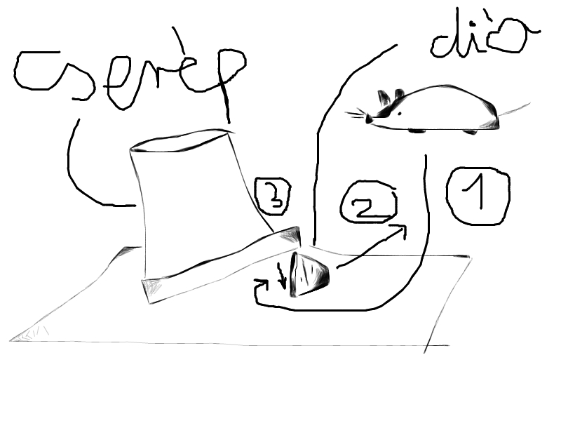 Illustration for article titled A világ legegyszerűbb egérfogója. És meg sem öli az állatot!