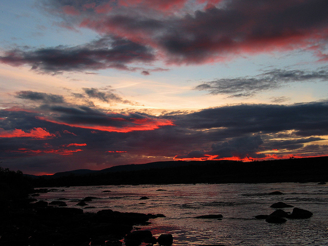 Illustration for article titled Ez a fehér színű rénszarvas rendkívül pofátlan volt