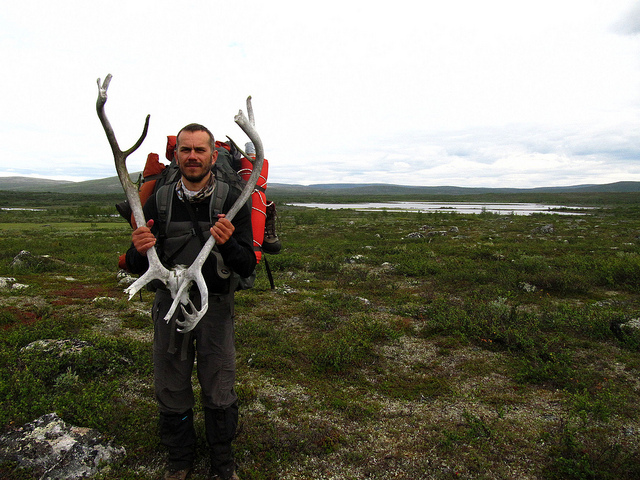 Illustration for article titled Ez a fehér színű rénszarvas rendkívül pofátlan volt