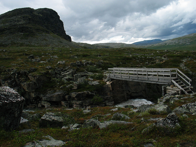 Illustration for article titled Ez a fehér színű rénszarvas rendkívül pofátlan volt