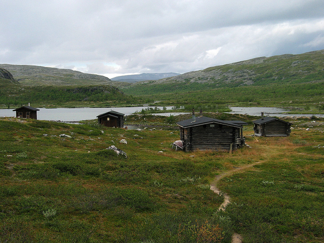 Illustration for article titled Ez a fehér színű rénszarvas rendkívül pofátlan volt