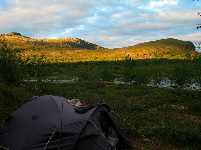 Illustration for article titled Ez a fehér színű rénszarvas rendkívül pofátlan volt
