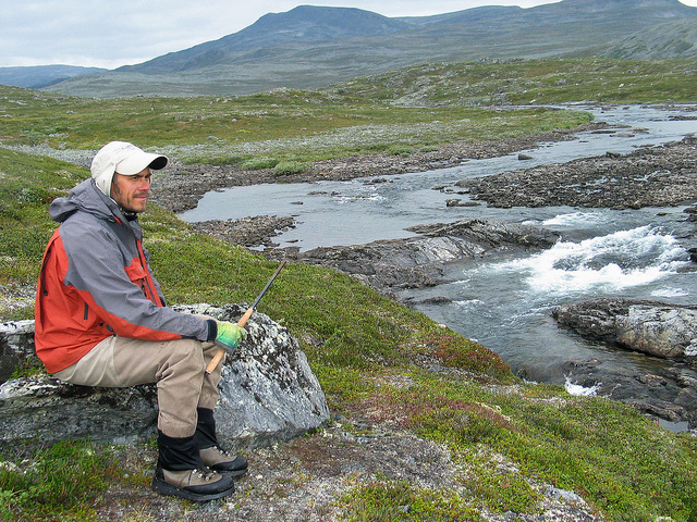 Illustration for article titled Ez a fehér színű rénszarvas rendkívül pofátlan volt