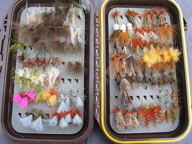 Illustration for article titled Ez a fehér színű rénszarvas rendkívül pofátlan volt