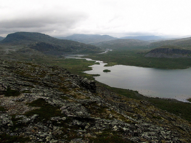 Illustration for article titled Ez a fehér színű rénszarvas rendkívül pofátlan volt