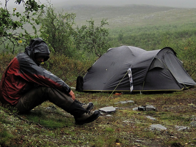 Illustration for article titled Ez a fehér színű rénszarvas rendkívül pofátlan volt