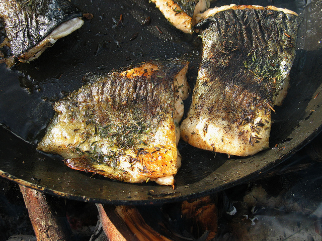 Illustration for article titled Ez a fehér színű rénszarvas rendkívül pofátlan volt