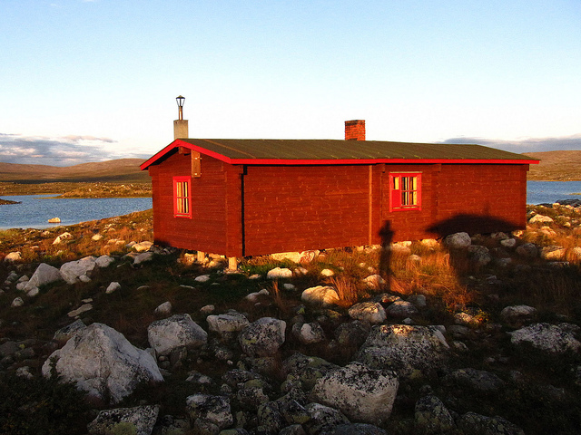 Illustration for article titled Ez a fehér színű rénszarvas rendkívül pofátlan volt