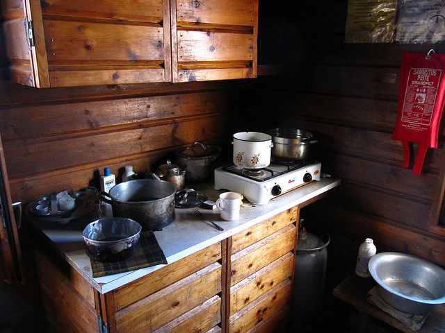 Illustration for article titled Ez a fehér színű rénszarvas rendkívül pofátlan volt