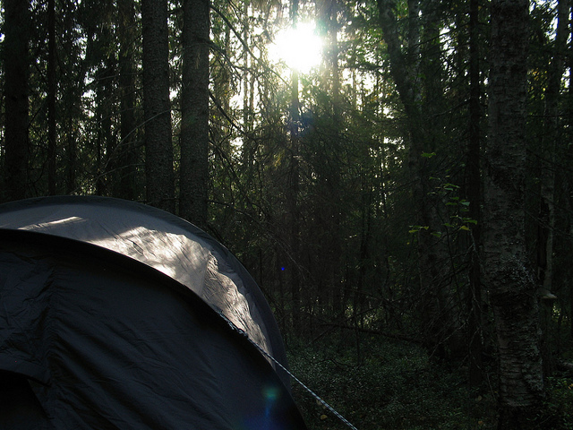 Illustration for article titled Ez a fehér színű rénszarvas rendkívül pofátlan volt