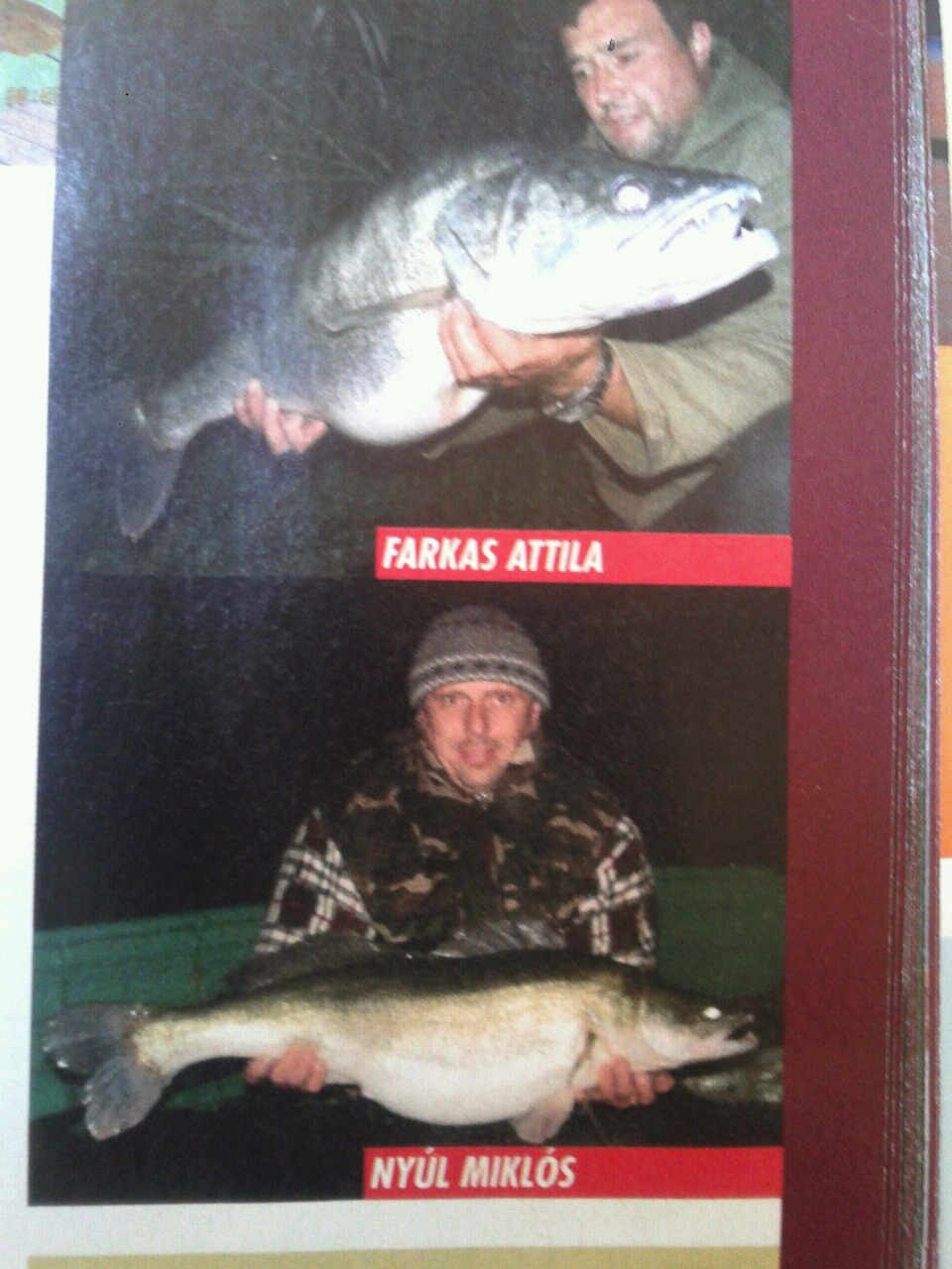 Ezentúl a túl nagy halat is vissza kell dobni