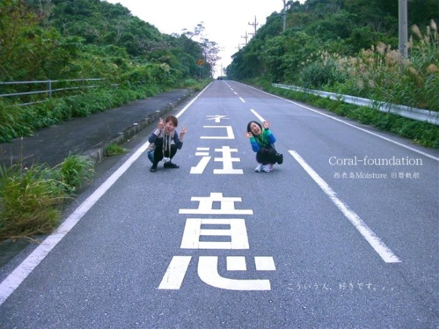 Illustration for article titled Szuper cuki közlekedési táblák: vigyázz macskaveszély!