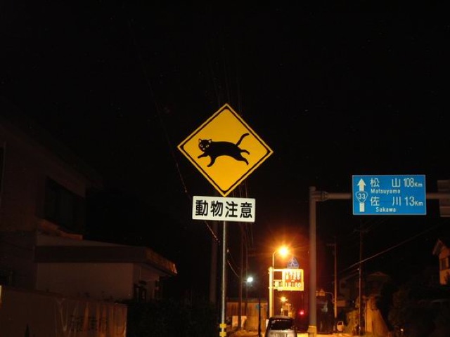 Illustration for article titled Szuper cuki közlekedési táblák: vigyázz macskaveszély!