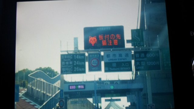 Szuper cuki közlekedési táblák: vigyázz macskaveszély!