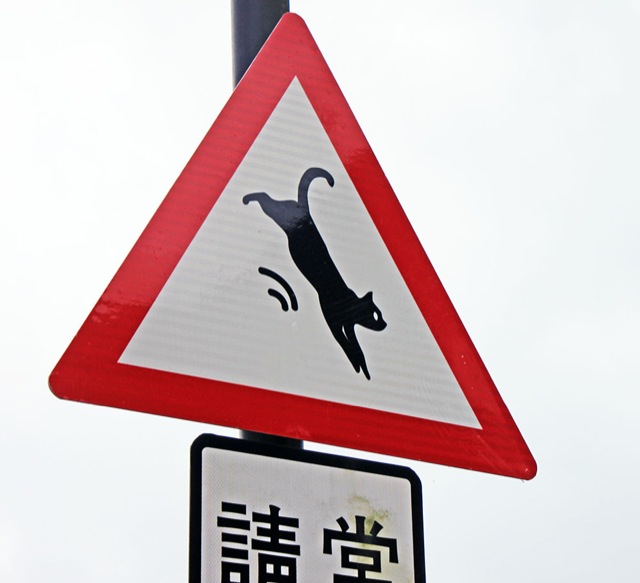 Illustration for article titled Szuper cuki közlekedési táblák: vigyázz macskaveszély!