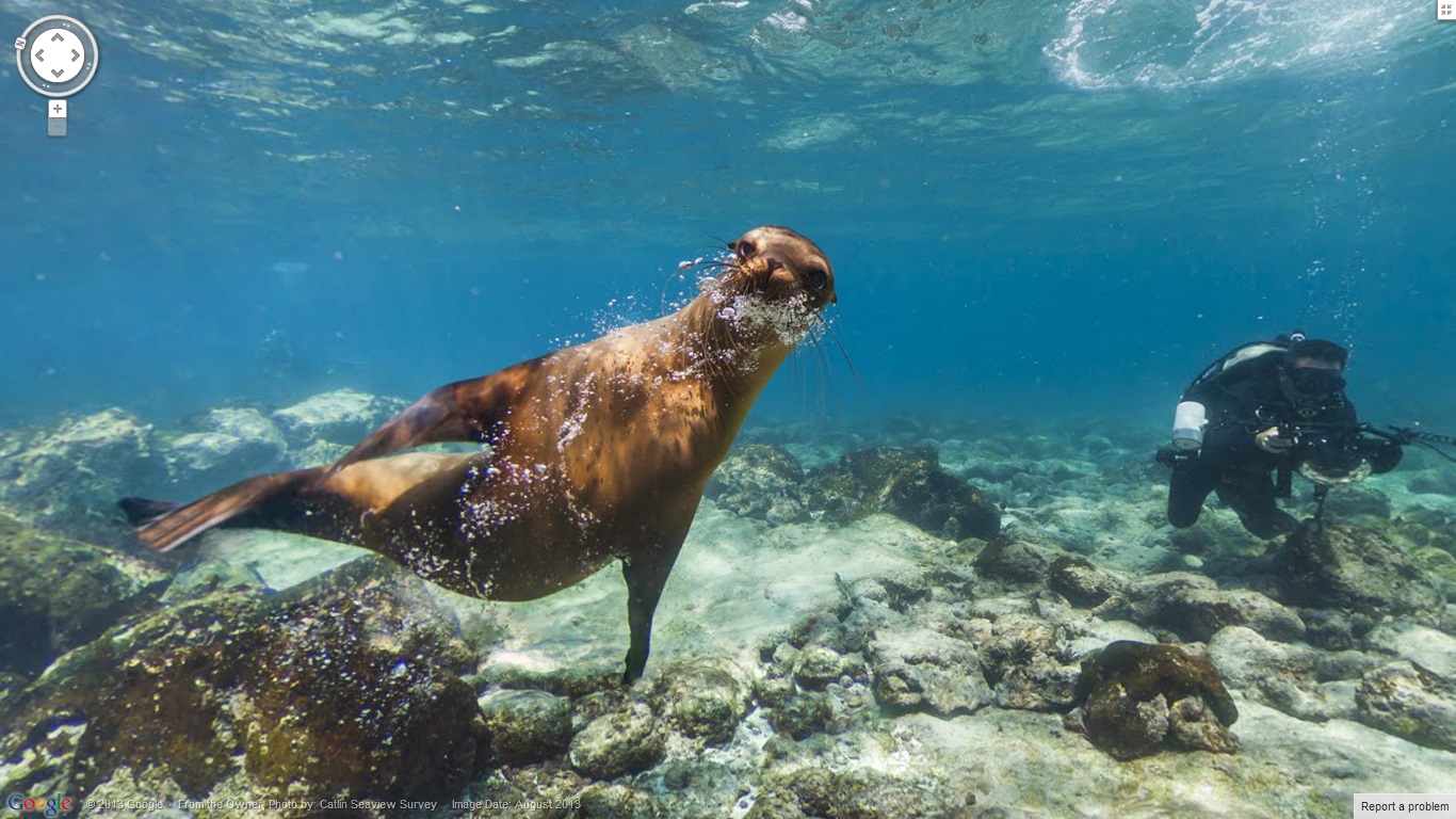 Nézz körbe a Galápagos-szigeteken a foteledből!