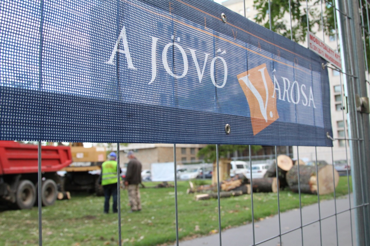 Illustration for article titled Kivágták az egész Belváros egyik legnagyobb, egészséges fáját