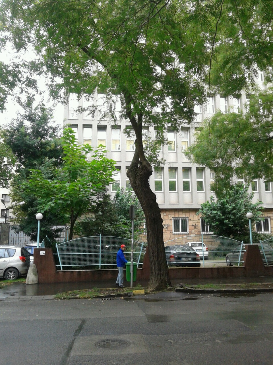 Illustration for article titled Ez tényleg a tízmillió faszakértő országa