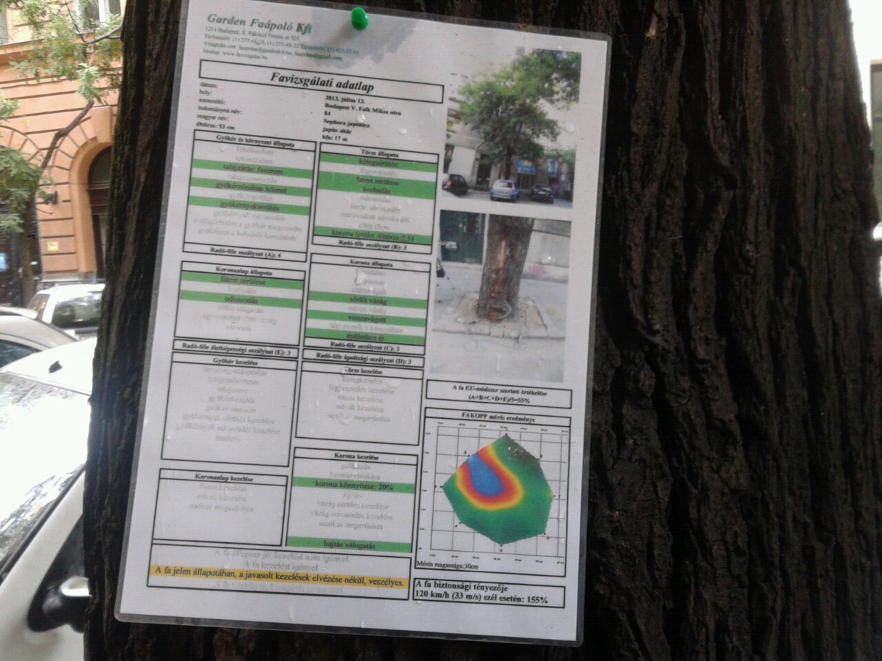 Illustration for article titled Ez tényleg a tízmillió faszakértő országa