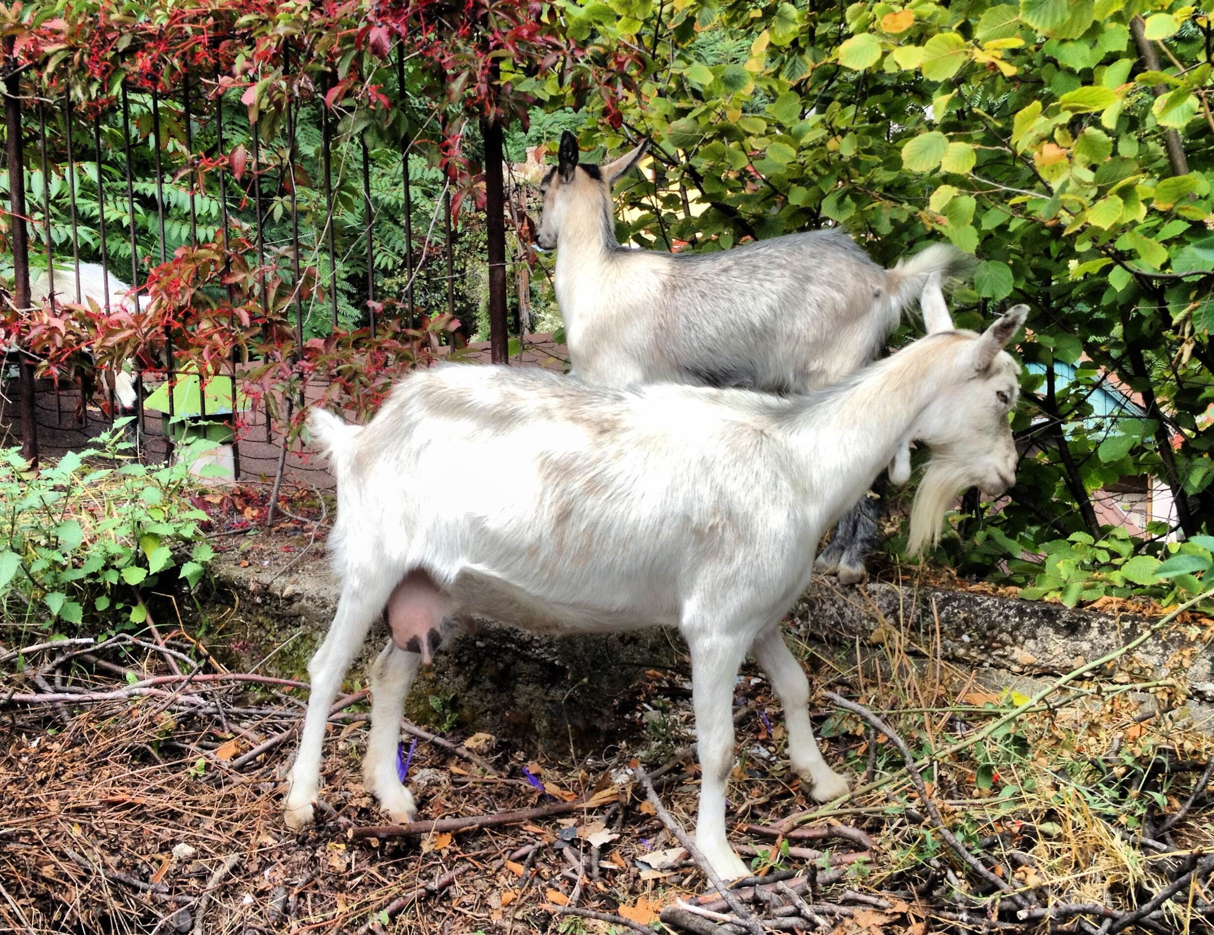 Illustration for article titled Elmentem partizni Miskolc titkos bulinegyedébe