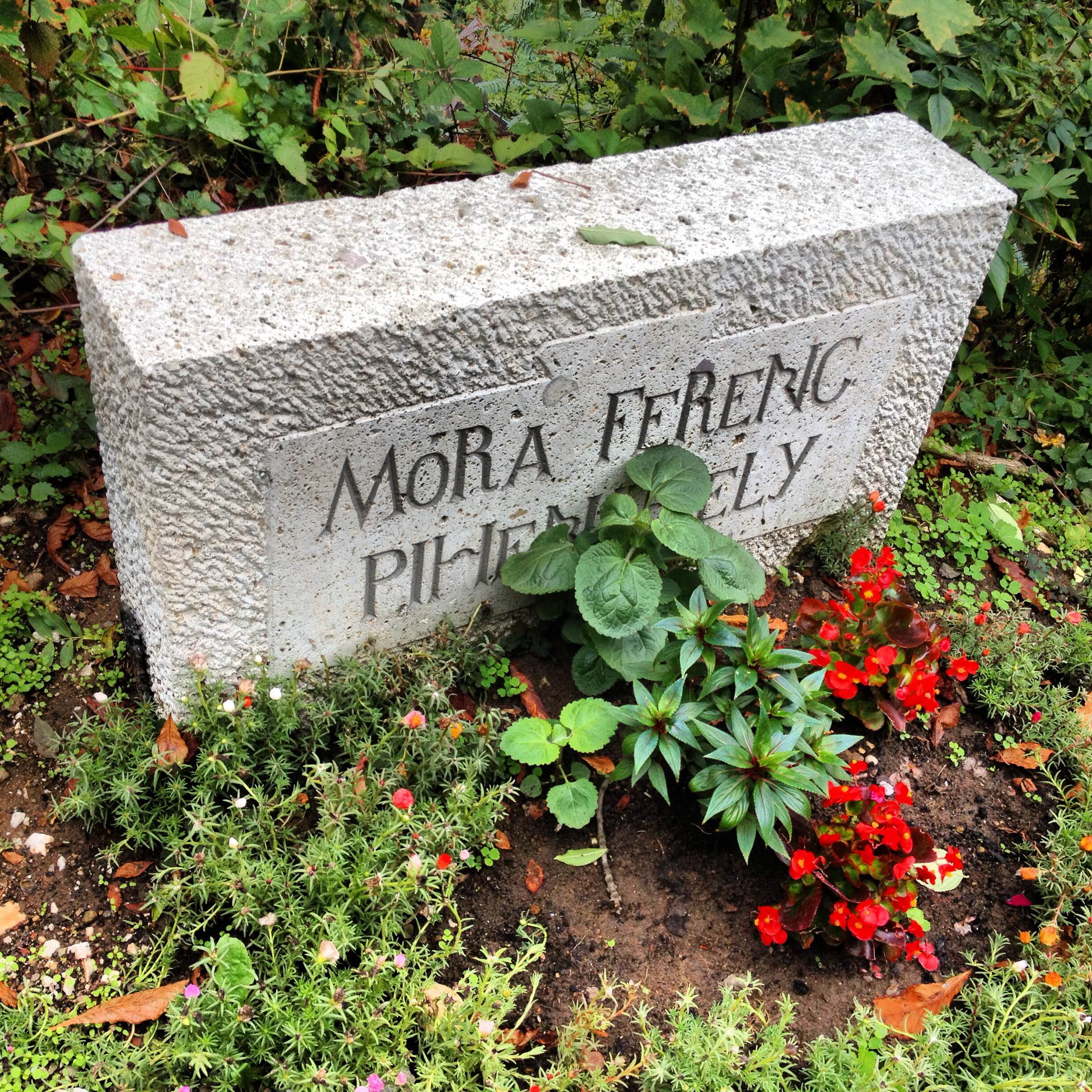 Illustration for article titled Elmentem partizni Miskolc titkos bulinegyedébe