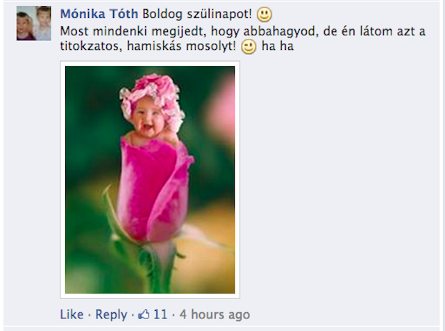 Illustration for article titled Kiborultak a rajongónők Vujity Tvrtko visszavonulásán