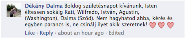 Illustration for article titled Kiborultak a rajongónők Vujity Tvrtko visszavonulásán