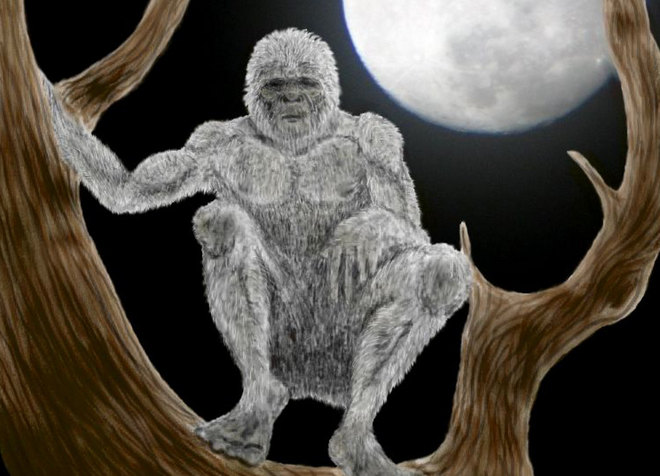 Becsukhatjuk az internetet, végre megvan a magyar Nagyláb!