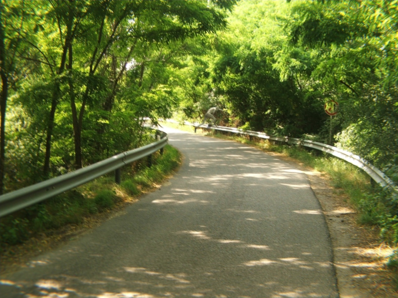 Illustration for article titled Becsukhatjuk az internetet, végre megvan a magyar Nagyláb!