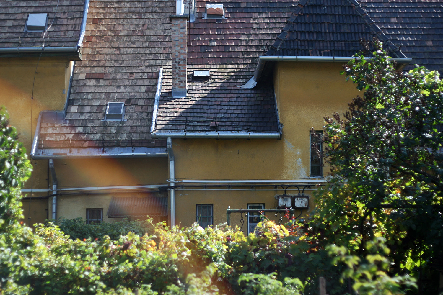 Illustration for article titled Éljen! Kevésbé bűzlik a gázgyár, mint hét éve!