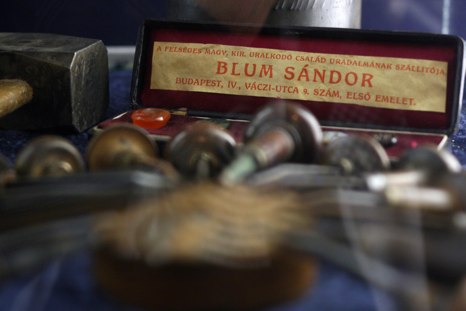 Illustration for article titled A gyűrűbuziknak se minden papsajt