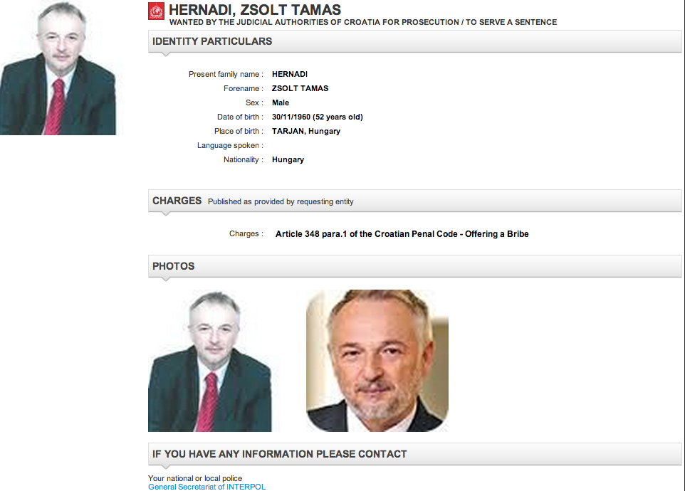 Illustration for article titled Hernádi Zsolt néz vissza az Interpol adatbázisából