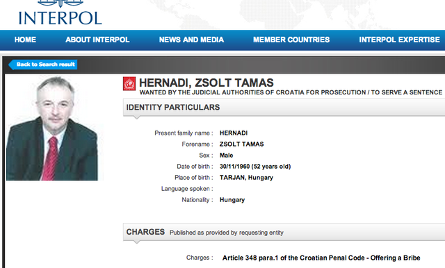 Hernádi Zsolt néz vissza az Interpol adatbázisából