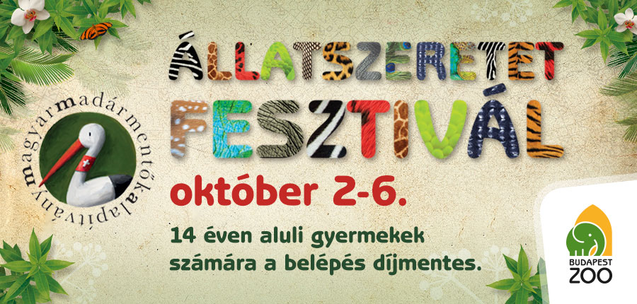 Illustration for article titled Ezt csináld ma meg holnap! De főleg ma!