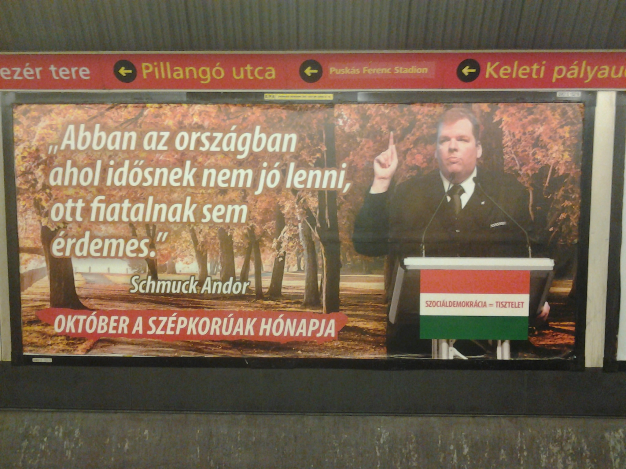 Most már biztos: Schmuck Andor a haza bölcse!!!