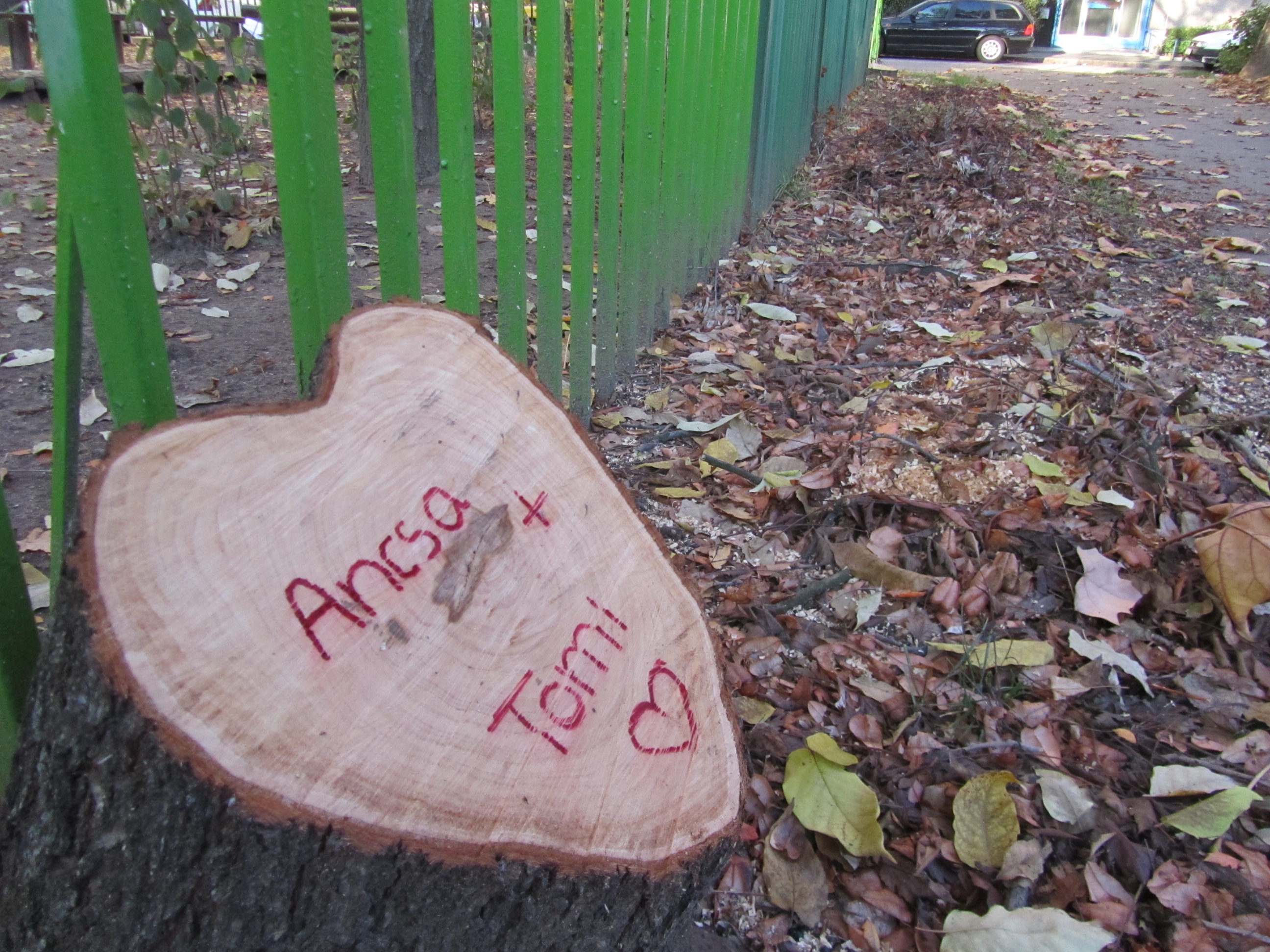 Budapest legcukibb fatönkje