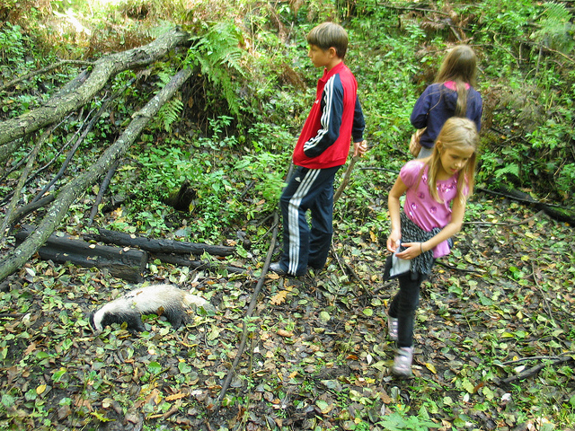 Illustration for article titled Ilyen volt átélni egy rémkaticatámadást Somogyban