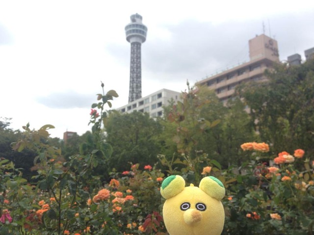 Illustration for article titled Japánban utazási iroda nyílt plüssállatoknak